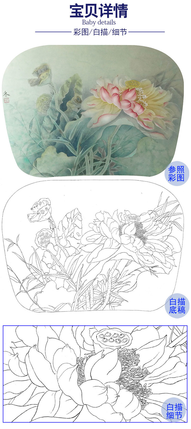 杨冬冬工笔荷花白描底稿-hd11 - 工笔画底稿商城