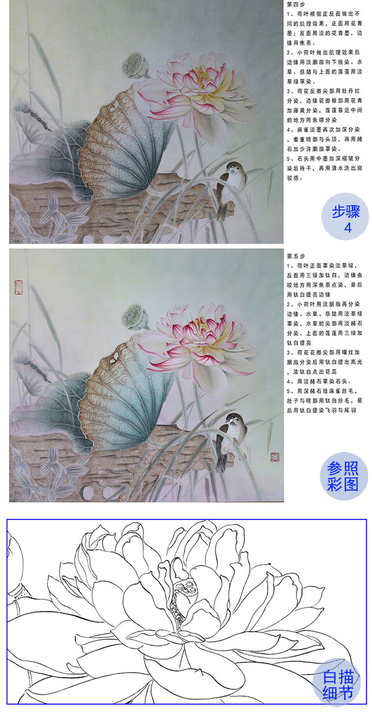 【有步骤,大彩图】杨冬冬工笔画白描底稿荷花图《熏风》小品多种白描