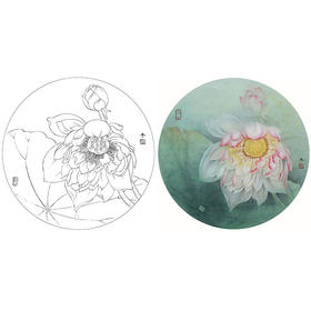 杨冬冬工笔花鸟白描底稿-荷花小品《轻语》-多种白描尺寸可选-HD03