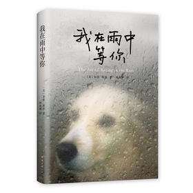 我在雨中等你