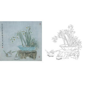 杨冬冬工笔花鸟白描底稿-水仙花-斗方小品册页-HD64