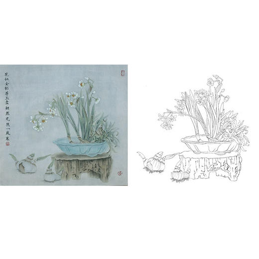 杨冬冬工笔花鸟白描底稿-水仙花-斗方小品册页-HD64 商品图0
