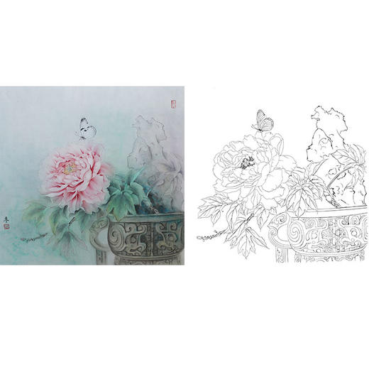杨冬冬工笔博古花鸟白描底稿-牡丹-斗方小品册页-HD63 商品图0