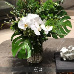 蝴蝶兰桌花