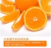 赣南脐橙 商品缩略图2