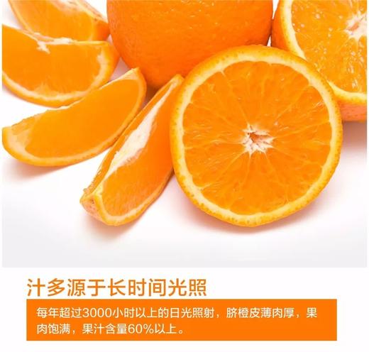 赣南脐橙 商品图2
