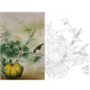 竖幅杨冬冬工笔花鸟白描底稿-南瓜小鸟-HD62 商品缩略图0