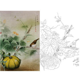 竖幅杨冬冬工笔花鸟白描底稿-南瓜小鸟-HD62