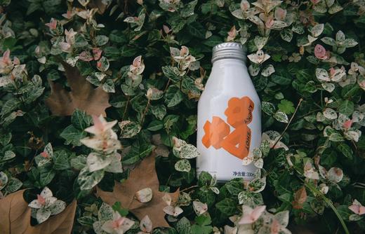 fishtank秋季野餐会报名 商品图2