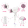 飞利浦(PHILIPS)电吹风机家用大功率小体积恒温护发吹风HP8110升级版HP8120/05 商品缩略图0