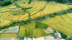 这个真实的“桃花源” 离武汉仅有180公里
