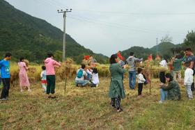  大学教授开“种地补习班”？网友评论亮了… 