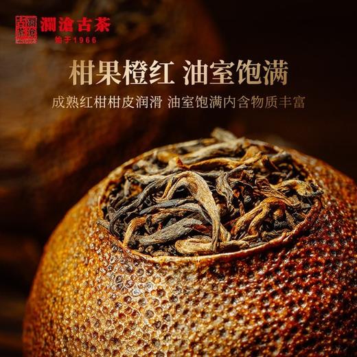 【10月13日10点开抢】39.9元抢购18年茶妈妈大红柑单颗装 商品图1