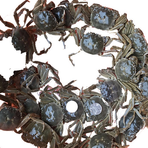 一元蟹小螃蟹母蟹香辣蟹，醉蟹，呛蟹，油炸蟹 商品图1