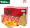屈姑黄桃罐头425g*12罐礼盒装 商品缩略图0
