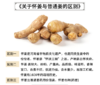 公益分享：酵素种植的怀姜团购中 商品缩略图0