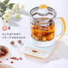 荣事达（Royalstar）养生壶电水壶煮茶器热水壶烧水壶电热水壶迷你玻璃煮茶壶1.8L YSH18Q 商品缩略图6