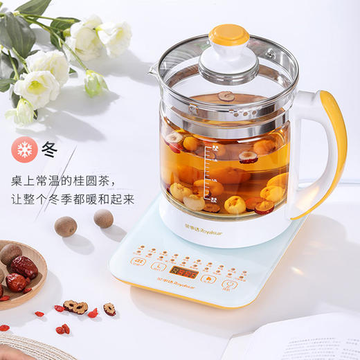 荣事达（Royalstar）养生壶电水壶煮茶器热水壶烧水壶电热水壶迷你玻璃煮茶壶1.8L YSH18Q 商品图6