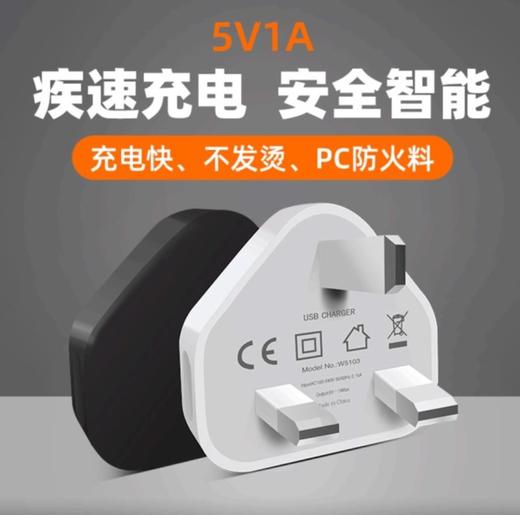 【充电器】三角英规充电器 USB充电头 5V1A充电器 商品图0