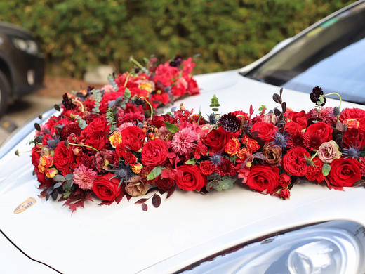 红色系3 商品图3