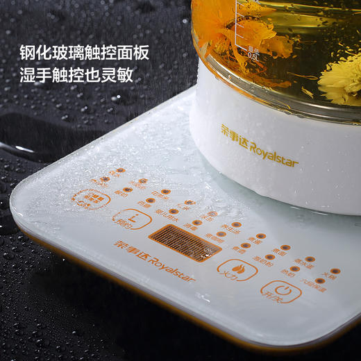 荣事达（Royalstar）养生壶电水壶煮茶器热水壶烧水壶电热水壶迷你玻璃煮茶壶1.8L YSH18Q 商品图7