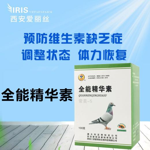 【全能精华素】赛鸽营养补给/补体能（爱丽丝） 商品图0