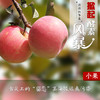 社区团购 沂源红 苹果 商品缩略图2