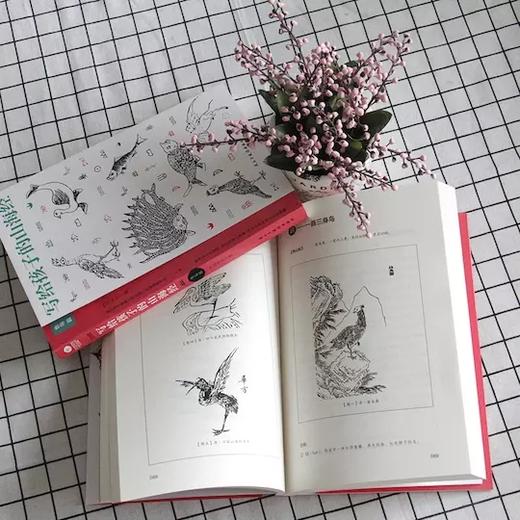 《写给孩子的山海经》（套装3册）人神篇+异兽篇+鱼鸟篇 商品图5