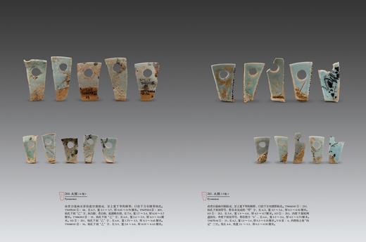 《洞天瓷韵——醴陵窑钟鼓塘元代窑址出土瓷器精粹》 商品图4