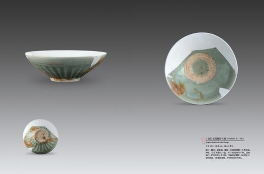 《洞天瓷韵——醴陵窑钟鼓塘元代窑址出土瓷器精粹》 商品图1