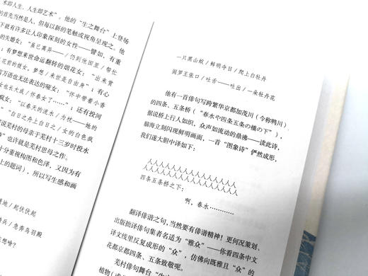 春之海终日悠哉游哉：与谢芜村俳句300 商品图4