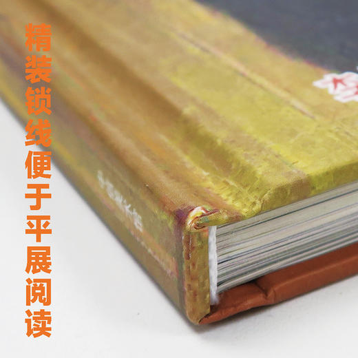 曼哈顿的中国杂技 李尤松 著 电影镜头感 具有个人风格纸上电影 故事和画面具有时代特征 中信出版社图书正版 商品图6