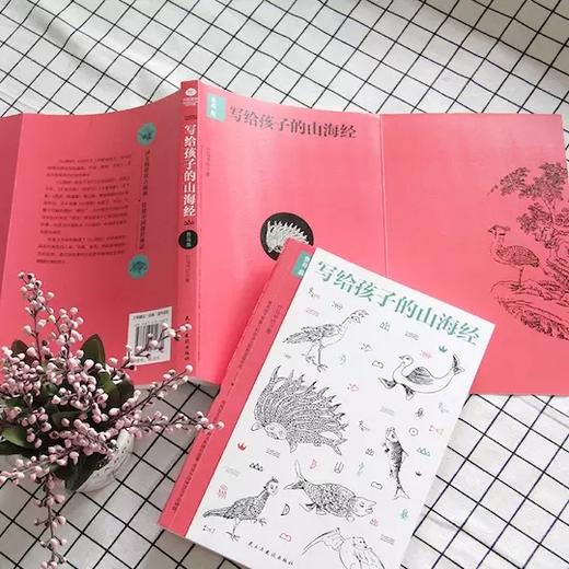 《写给孩子的山海经》（套装3册）人神篇+异兽篇+鱼鸟篇 商品图4