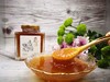 天然野生蜂蜜 500克/瓶 商品缩略图2