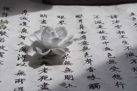 感谢芳友们的喜欢，爱你哟