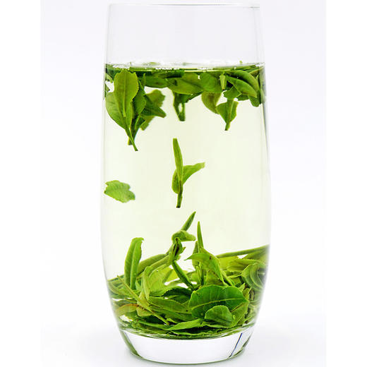 峨眉山云雾绿茶 雨前高山嫩芽 青针雀舌 500g 商品图1