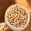 大凉山 膨化胚芽黄苦荞麦茶 整粒全膨 500g 商品缩略图2