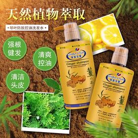 琴叶生姜防脱控油洗发水1000毫升/瓶4895177806847   1*24