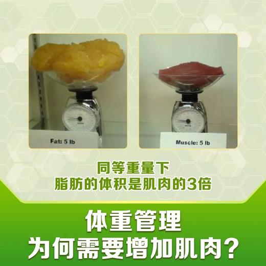 纽崔莱型体乐 /燃烧脂肪/增加肌肉/收减小腹/防止反弹/提高骨密度/每日两次每次四片 商品图2