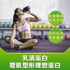 XS运动乳清蛋白粉-(巧克力味)/增肌塑形/强化恢复/适合爱运动人士 商品缩略图13