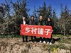 高原红元帅 冰糖心5斤±50g（果径75-100mm）【团购价16.98元】 商品缩略图1