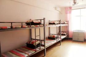 【住宿】阿姨之家公寓 | 干净透光 | 日租仅需10元