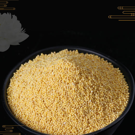 腰站子有机小米450g/包*3 商品图1