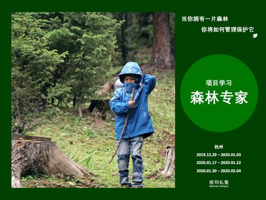 预约·森林专家 商品图0