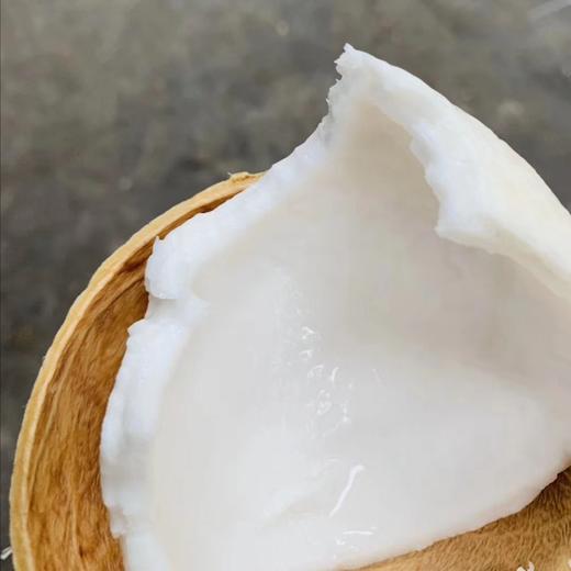 清理体液垃圾的超强香甜饮品--泰国老树椰皇 商品图3