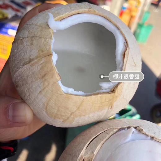 清理体液垃圾的超强香甜饮品--泰国老树椰皇 商品图5
