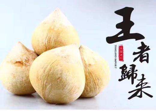 清理体液垃圾的超强香甜饮品--泰国老树椰皇 商品图0