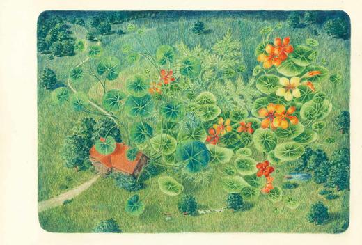 《遗失的灵魂》绘本小说（2018年诺贝尔文学奖获奖者作品） 商品图6