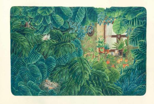 《遗失的灵魂》绘本小说（2018年诺贝尔文学奖获奖者作品） 商品图5