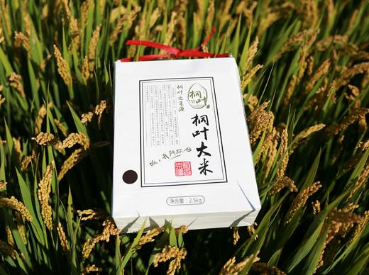 【兑换专属链接】致敬最美的你  奔赴湖北一线作战医务人员桐叶超日标大米 商品图0